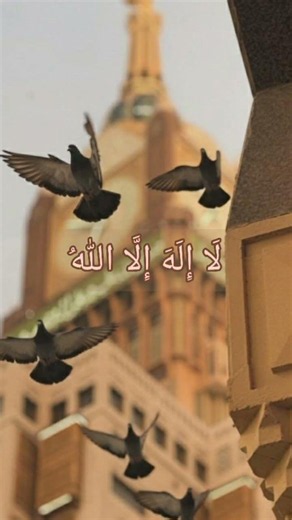 شهادة لا إله إلا الله || None has the right to be worshipped, but Allah alone
