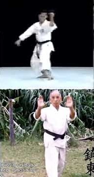 Chinto Shito-ryu & Shorin-ryu 🥋 #Karate #kata #shitoryu #Shorinryu