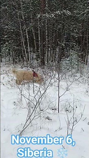 Snow diving season is officially opened