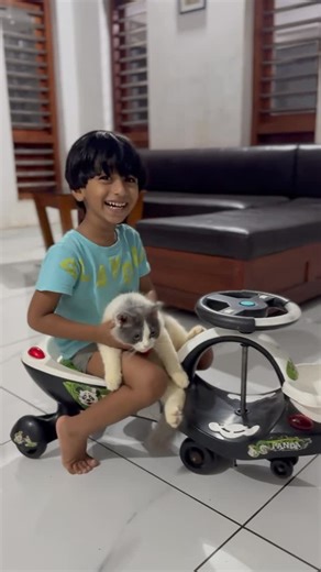Aswathi Sreejin on Instagram: "That combo 😻👌 #instagram #insta #instagood #happiness #home #pets #viralreels #viralcontent #vialone . . . . . . . . . . #instagood #instamood #instaviral❤️"