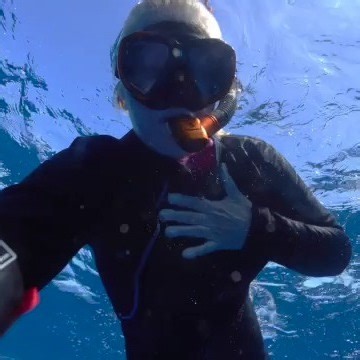 The Singer. Whale song was first heard by accident in the midst of the Cold War. American soldiers listened to the ocean in search of submarines but instead of enemy noises, they recorded strange sounds - long, deep, like melodies. The records have been classified. Only years after the data was decoded, marine biologist Roger Payne received it. He figured it out: Humpback whales sing. Complex, rhythmic, dozens of minutes long. Not just signals - real songs. In 1970, Payne released Songs of the H