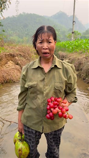 Harvesting grapes | This is why farming is fun #farmlife #funny