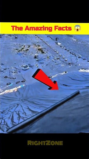 POV:How to Swimming pool is created simply #trending #tiktok #shorts