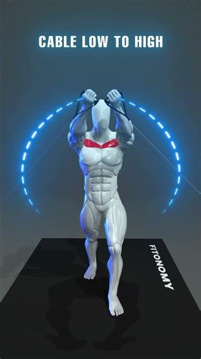 Fill out your collarbone line with precision moves upper chest work that defines #gym