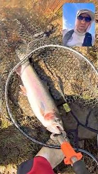 My new personal best Rainbow Trout at Cumberland River.