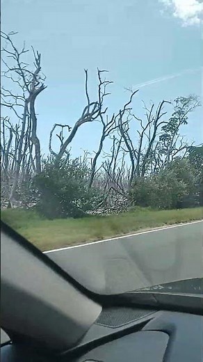 Everglades national Park