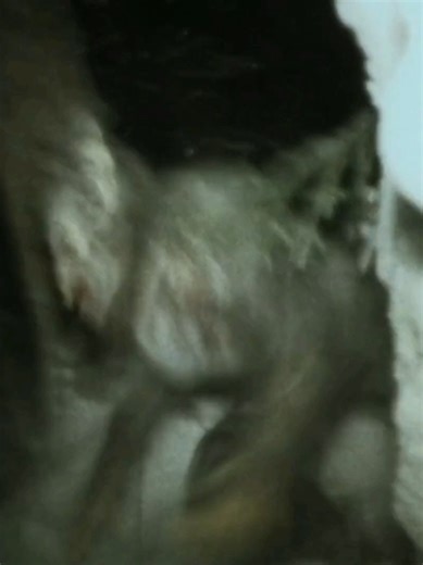 Cold Ground: Unraveling the Found Footage Horror