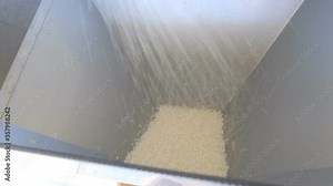 コイン精米機で精米する様子