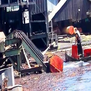 3.1M views · 6.1K reactions | One Day At A Sawmill Operated By Steam Cre: Giant Machine | Giant Machine | Facebook