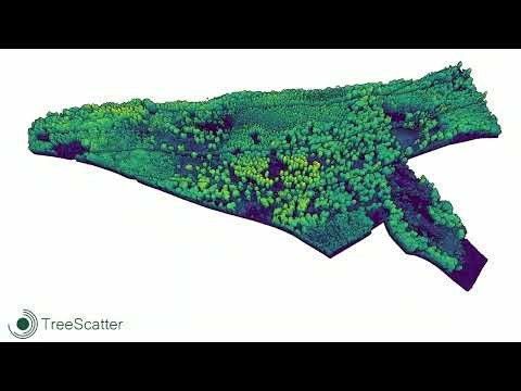 TreeScatter Demo