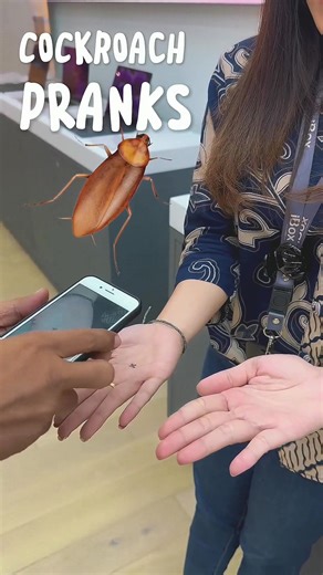 71K views · 74 reactions | Cockroach pranks  #pranks #funny #lol #magic | Nursulton Zubarov | Facebook