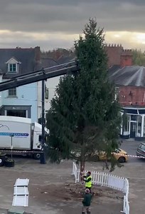 822K views · 315 reactions | Live in the market place now, does anyone know why the Christmas tree is coming back out?  I only posted a few days ago that they were putting it up! | Inspirique Photography by Jade | Facebook