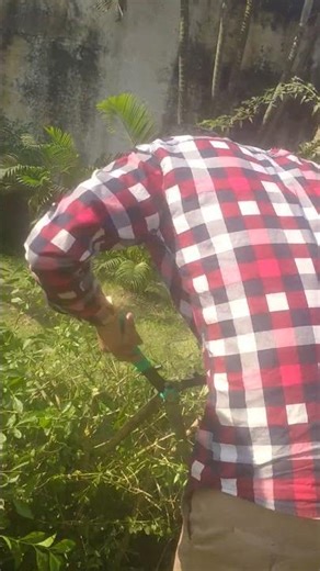 Ramganj Government PTTI collage 🌲🌲 CATTING