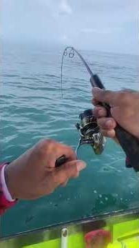 Big bait for big fish, the one anglers are looking for