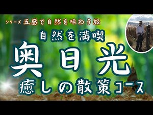 奥日光(戦場ヶ原･湯元)中禅寺湖の自然満喫おすすめハイキングルート/観光情報～五感で自然を味わう旅～