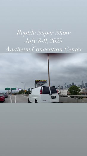 10K views · 68 reactions | Reptile Super Show July 8-9, 2023 at the...