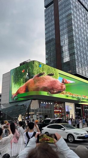 115K views · 1.1K reactions | 3D led screen display wall #3d #screen #display #panel #media #ledscreen #leddisplay #ledwall #billboard #sign #led #bigscreen #video #wall #videowall | Apollomi LED Screen Display Factory | Facebook