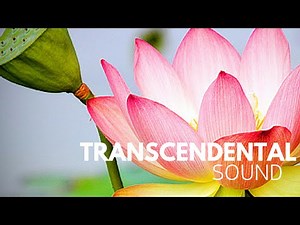 Heartfelt Devotional Chanting by Jagad Guru Siddhaswarupananda Paramahamsa Chris Butler