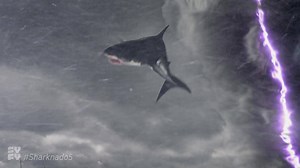 They’re bigger, stronger, stranger. Hold on tight, Sharknado 5 hits SYFY, TONIGHT at 8/7c. 🦈 ⛈ 💥 | Sharknado