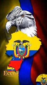 La bandera del Ecuador no es solo un tricolor: es historia viva. El amarillo recuerda la riqueza de nuestra tierra, el azul la inmensidad del cielo y del mar, el rojo la sangre de quienes lucharon por la libertad. En el centro, el escudo de armas guarda la memoria de nuestra identidad, y sobre él, el cóndor andino despliega sus alas como símbolo de fuerza, orgullo y vigilancia eterna. Es el guardián de la patria, el espíritu libre que jamás se rinde. Esto es Ecuador: dignidad, valentía y amor pr