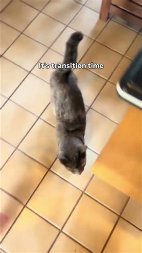 @mecoletta: We were late this weekend. Delilah was not amused. She keeps a strict schedule.