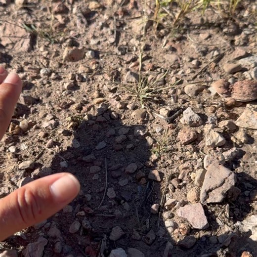 Cande Adventures on Reels