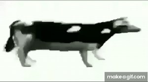 Dancing polish cow on Make a GIF