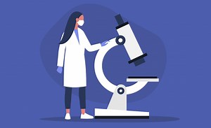 More women in STEM lead people to label them as 'soft sciences'