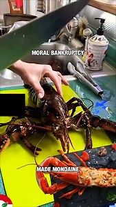 Tell me you’re morally bankrupt without telling me you’re morally bankrupt; “We serve barbarism and people like it.” ••• #veganforjustice #veganfortheanimals #vegan #lobster #seafood #fish #seafoodrestaurant #fishrestaurant #meat #lebanesevegans #beirut #lebanon | Lebanese Vegans
