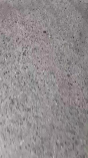 V for Victory 🇦🇹