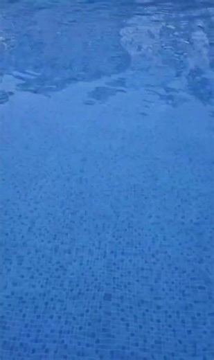 Natural sounds of the pool #pool, #naturalsounds #typicalpoolsounds #sounds,#poolsounds