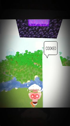 Java portal vs Bedrock portal 💀