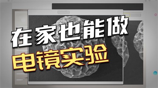 见过最专业的一款扫描电镜（SEM）模拟器—MICROSCOPY AUSTRALIA