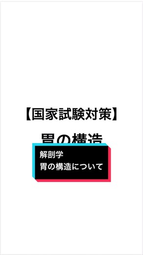 胃の構造について解説ライブ