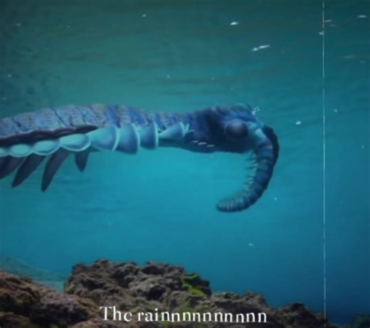 #paleontology #paleo #cambrian #Anomalocaris #anomalocarissupremacy