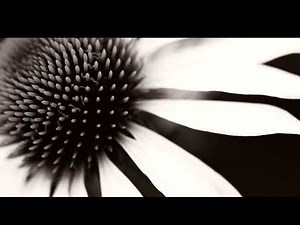 ARCTURIAN SOUND HEALING SESSION