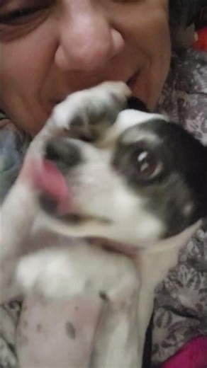 Good Morning Chuey, We're Going to Have a Good Day 🩷