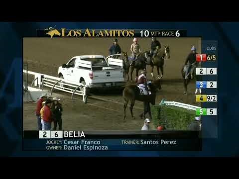 Los Alamitos Replays - Sunday, December 7, 2025 - Race 6