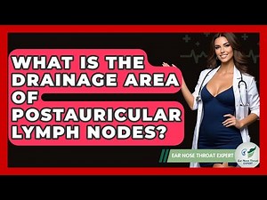 What Is The Drainage Area Of Postauricular Lymph Nodes? - Ear Nose Throat Expert