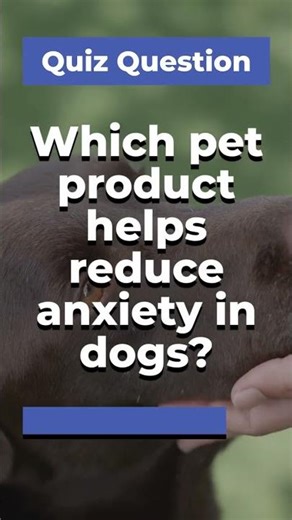 Ever tried a Thundershirt for your anxious pup? 🐶✨