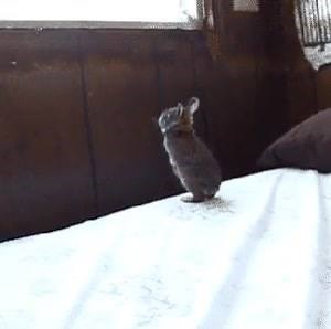 Yo en el amor :( | Solo gifs