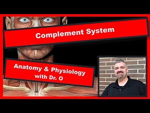 Complement System: Anatomy and Physiology