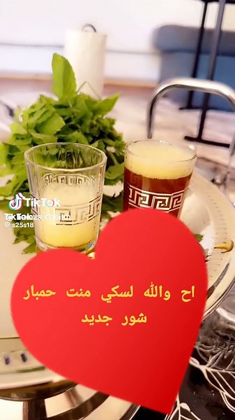 Hamza Cheikh on TikTok