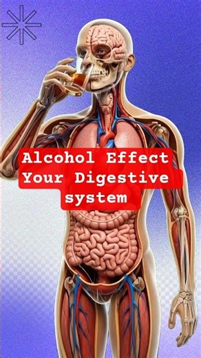 What REALLY Happens When You Drink ALCOHOL? #shorts #health #animation