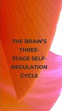 The Brain’s 3-Step Self-Regulation Cycle