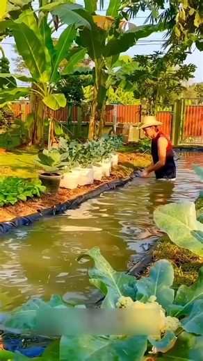 $80 Backyard Farming System That Grows Fish & Vegetables Together! #BackyardFarming #Aquaponics