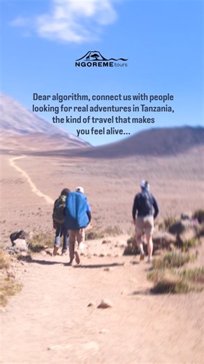 Ngoreme Tours on Instagram: "Climb Mount Kilimanjaro, trek Meru Peak, and explore the wild heart of Tanzania - from high-altitude expeditions to raw African wildlife safaris. This is real adventure travel for explorers who choose purpose over comfort and experiences over luxury. Tanzania isn’t a holiday, it’s a calling. #climbkilimanjaro #tanzaniaadventure #mountmeru #exploretanzania #africansafari"