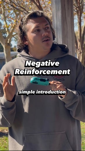 Negative Reinforcement or “Escape- Avoidance” training. “The process of negative reinforcement typically involves the removal, reduction, postponement, or Prevention of stimulation; these operations strengthen the response on which they are contingent.” Time Criteria, it REALLY matters when we wish to get to the “Postponement and Prevention” part of negative reinforcement. Without it there is zero agency, you cannot build success and the training will lack the capacity to build a dog’s resilienc