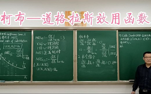 3.2.4柯布-道格拉斯(Cobb-Douglas,C-D)效用函数、正单调变换-微观经济学-高鸿业、马工程、考研《西方经济学》-板书授课