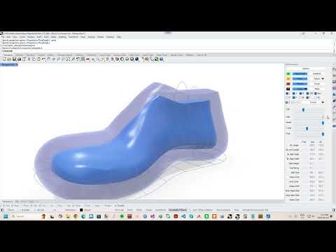 Designing and Customizing 3D Printed Shoes